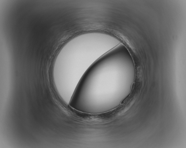 X0000111450589200907131042