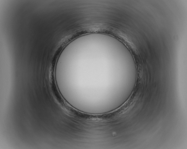 X0000111450590200907131042