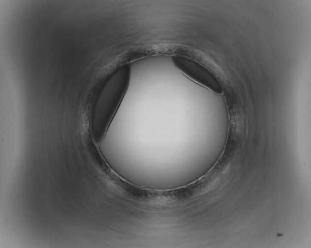 X0000111450593200907131042