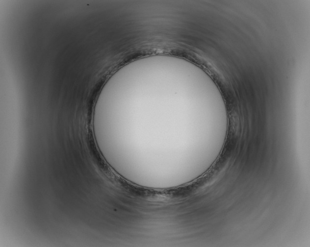 X0000111450594200907131042