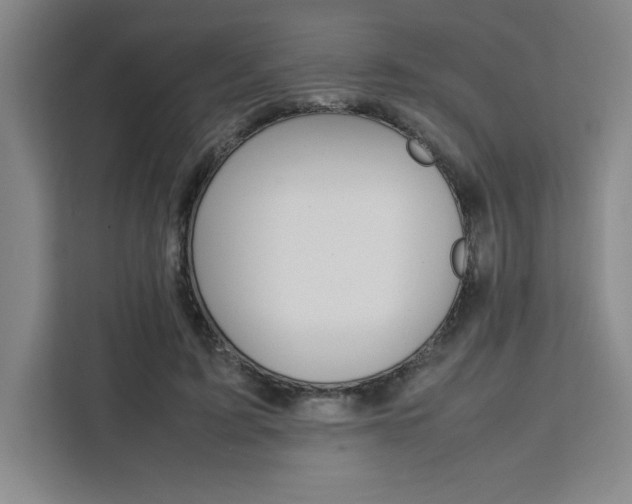 X0000111450595200907131042