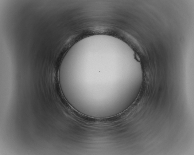 X0000111450596200907131042