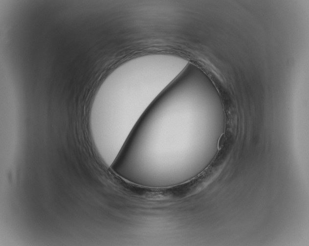 X0000111450597200907131042
