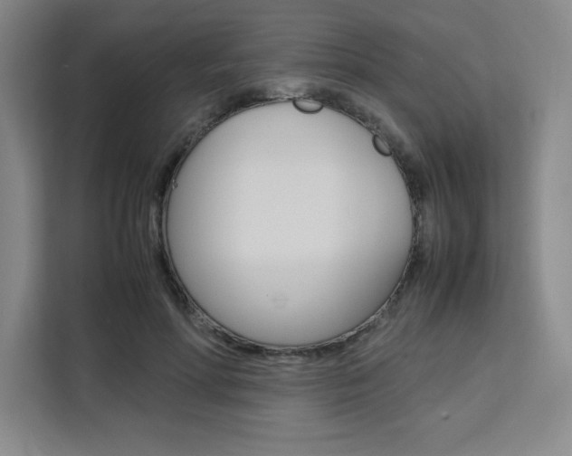 X0000111450598200907131042