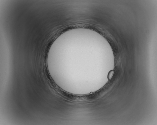 X0000111450599200907131042