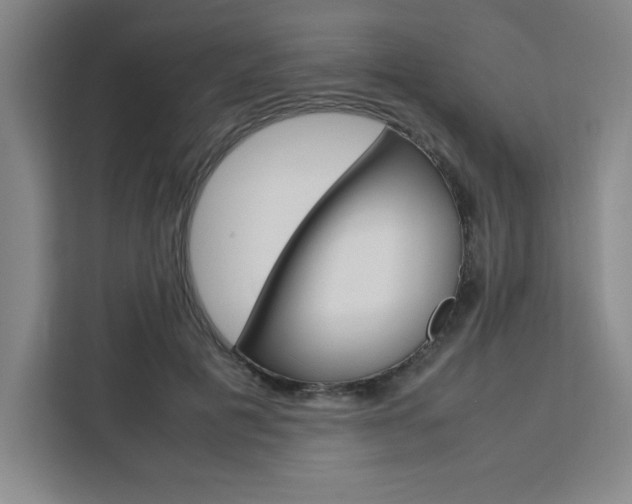 X0000111450601200907131042