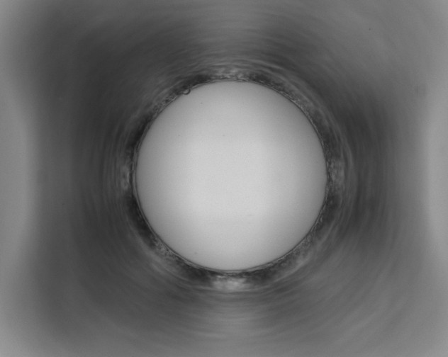 X0000111450602200907131042