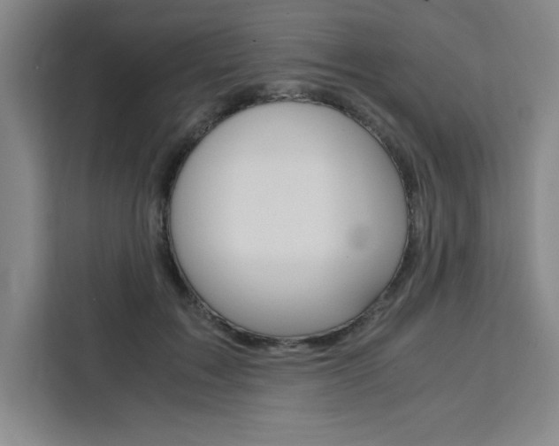 X0000111450603200907131042