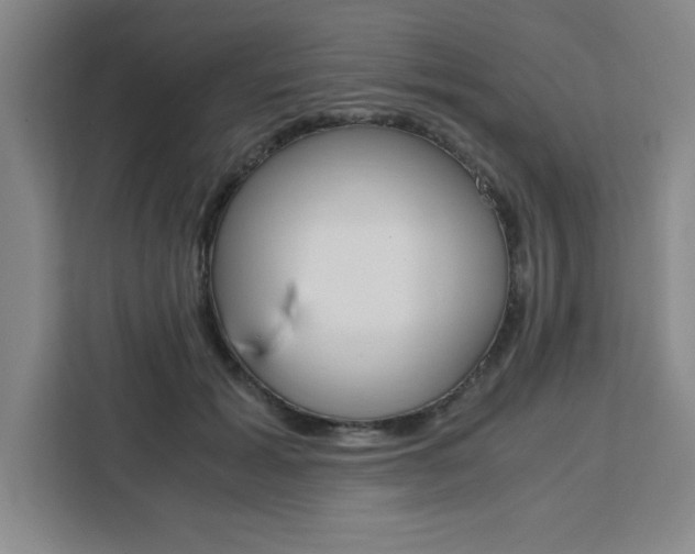 X0000111450605200907131042