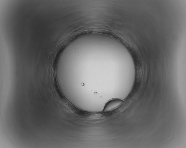 X0000111450609200907131042