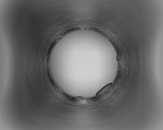 X0000111450611200907131042