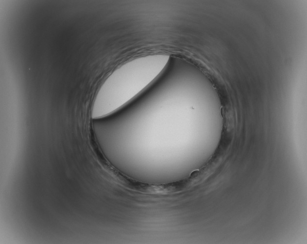 X0000111450613200907131042