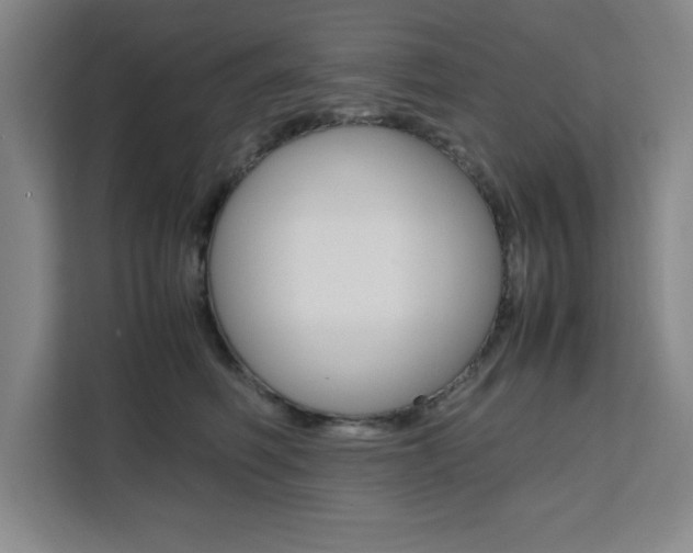 X0000111450614200907131042