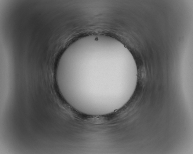 X0000111450615200907131042