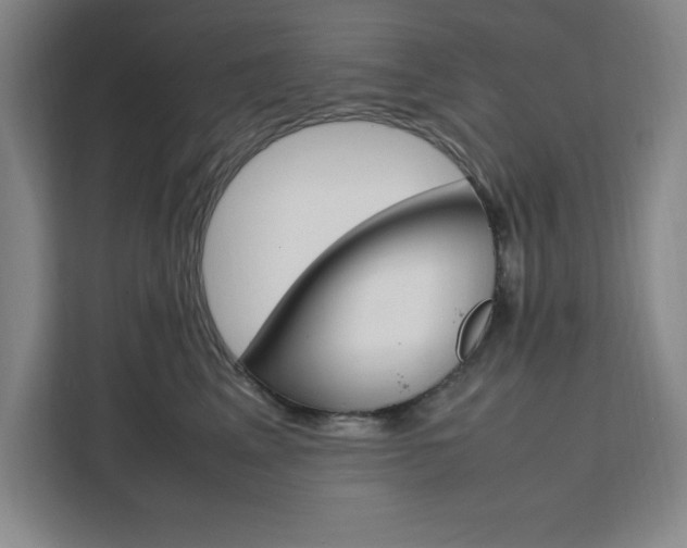 X0000111450617200907131042