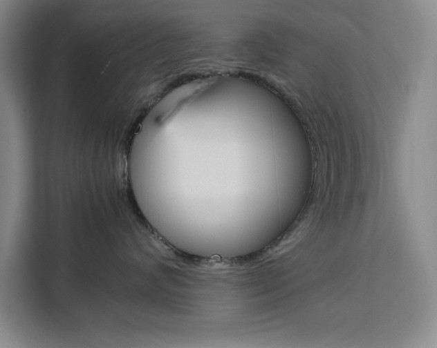 X0000111450624200907131042