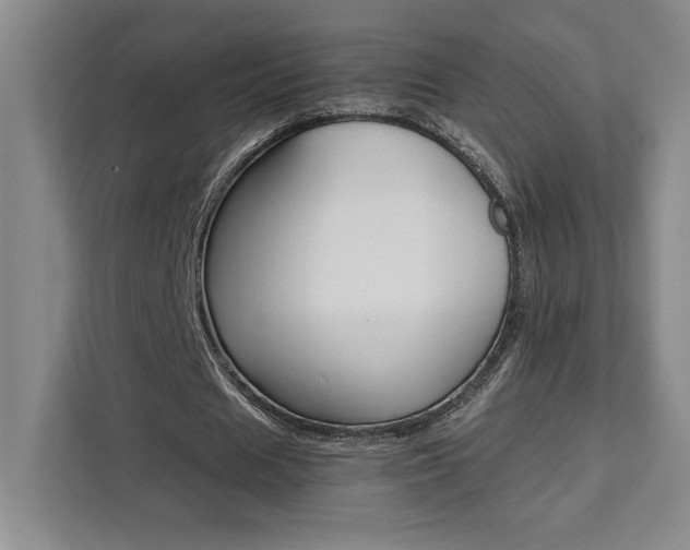 X0000111450625200907131041