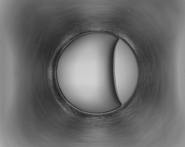 X0000111450626200907131041
