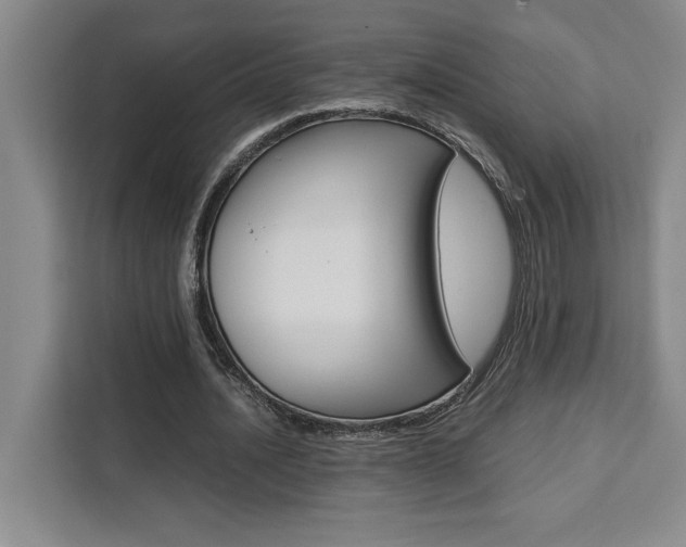 X0000111450628200907131041