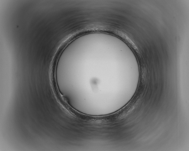 X0000111450629200907131041