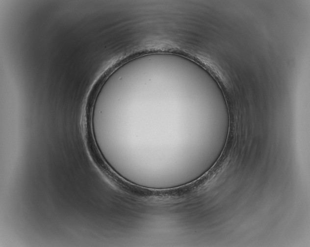 X0000111450630200907131041