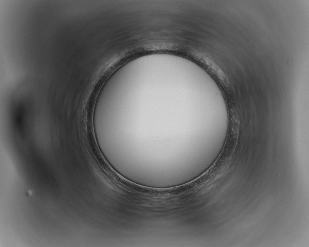 X0000111450631200907131041