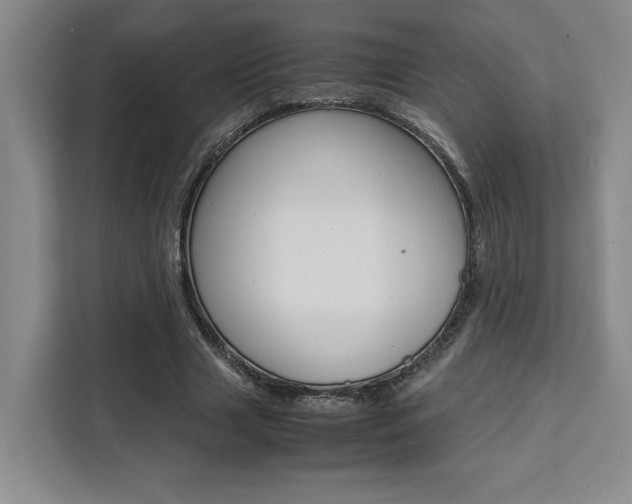 X0000111450633200907131041