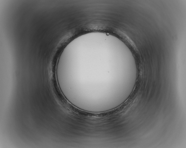 X0000111450635200907131041