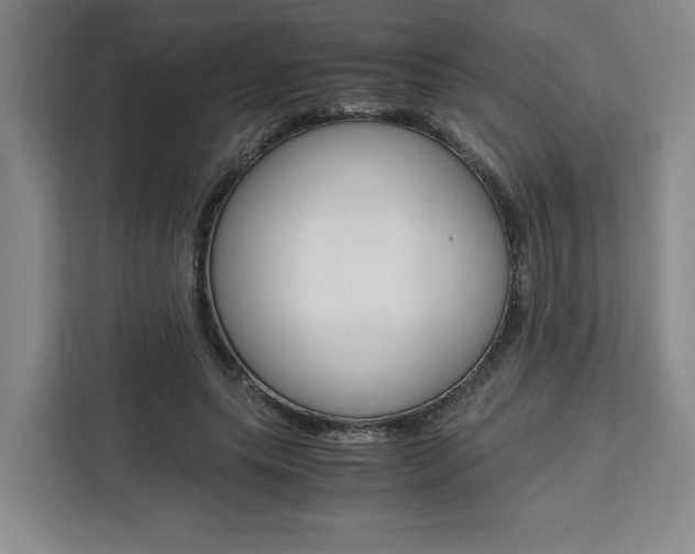 X0000111450639200907131041