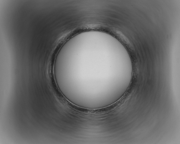 X0000111450640200907131042