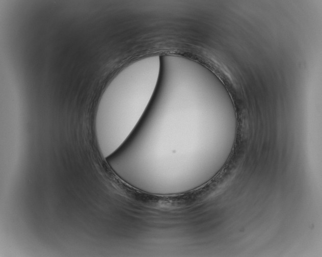 X0000111450641200907131042