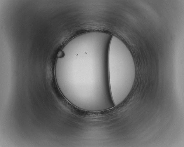 X0000111450642200907131042