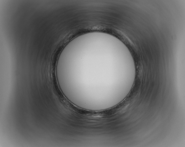X0000111450643200907131042