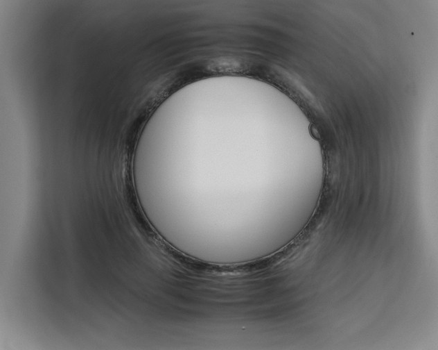 X0000111450645200907131042