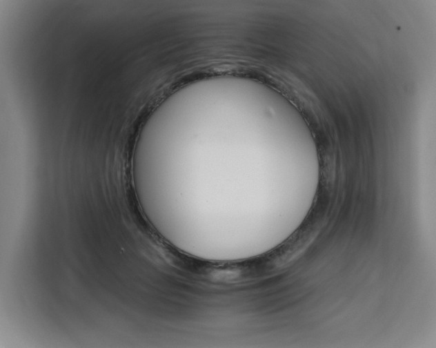 X0000111450653200907131042
