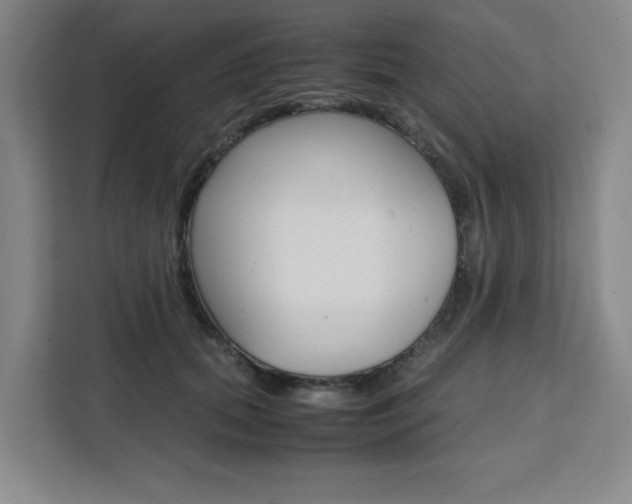 X0000111450655200907131042