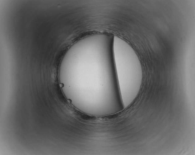 X0000111450656200907131042