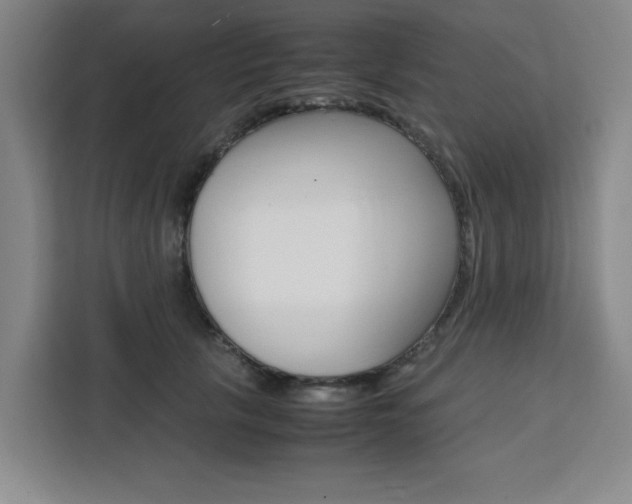 X0000111450657200907131042