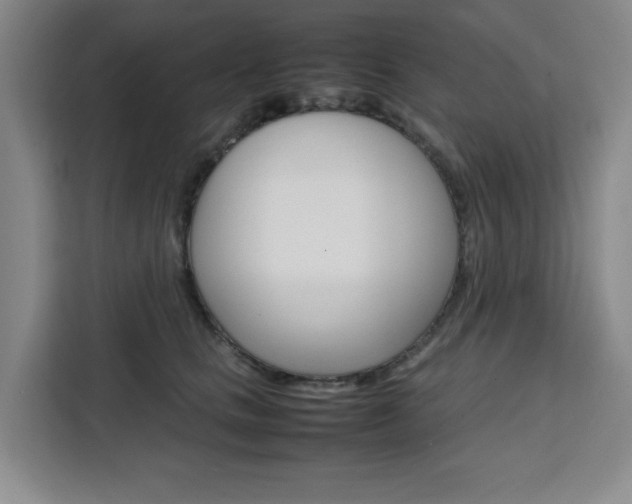 X0000111450661200907131042