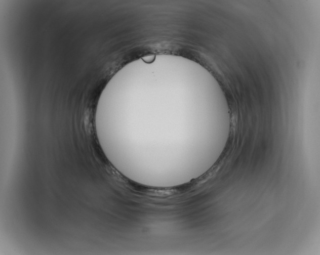 X0000111450671200907131042