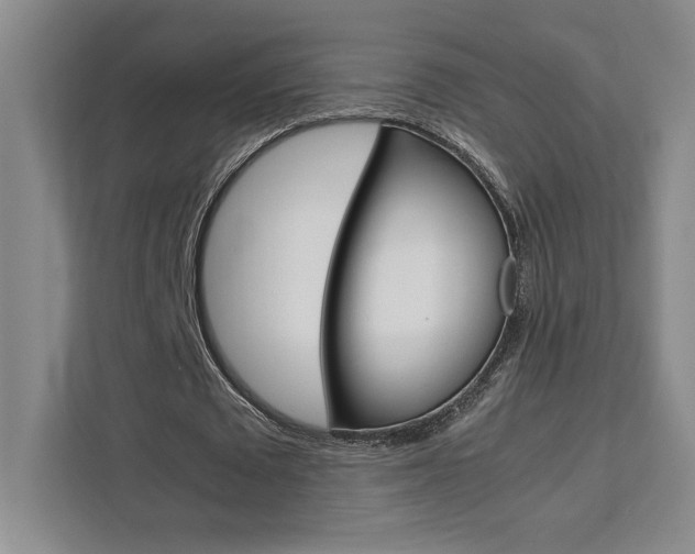 X0000111450673200907131041
