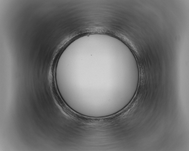 X0000111450674200907131041