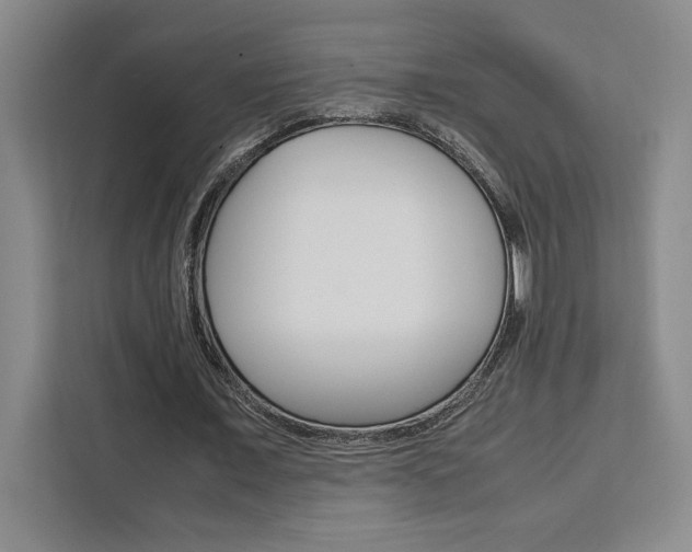 X0000111450675200907131041