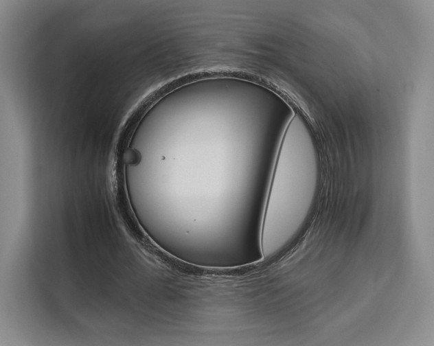 X0000111450676200907131041