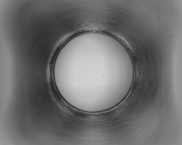 X0000111450678200907131041
