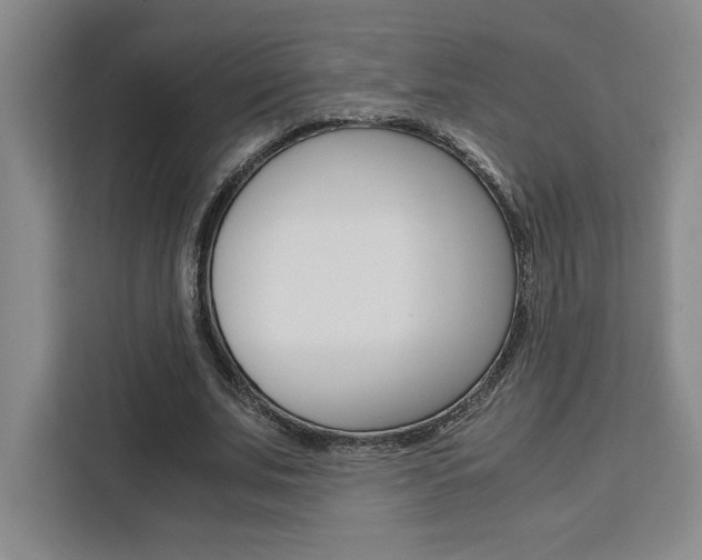 X0000111450679200907131041