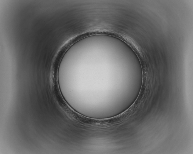 X0000111450680200907131041