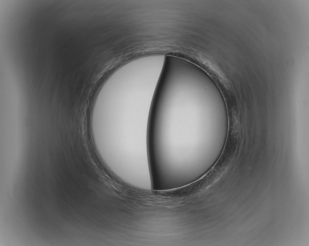 X0000111450681200907131041