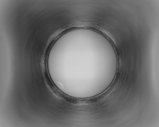 X0000111450682200907131041