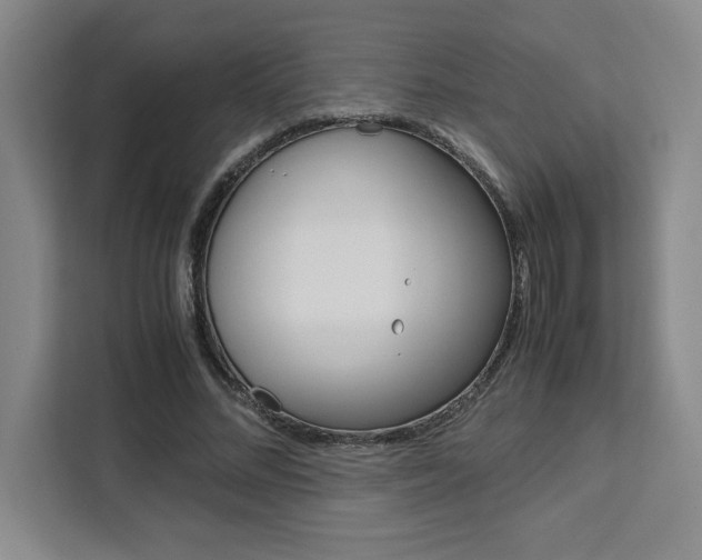 X0000111450684200907131041